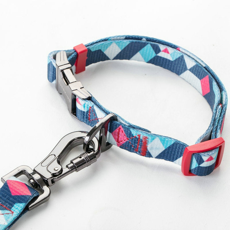The Ultimate Dog Leash for Every Adventure