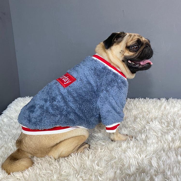The Ultimate Pet Sweater for Your Beloved Dog