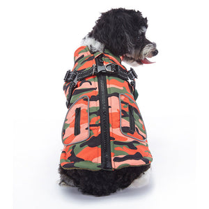Keep Your Furry Friends Cozy This Winter with Our Cashmere Pet Jacket