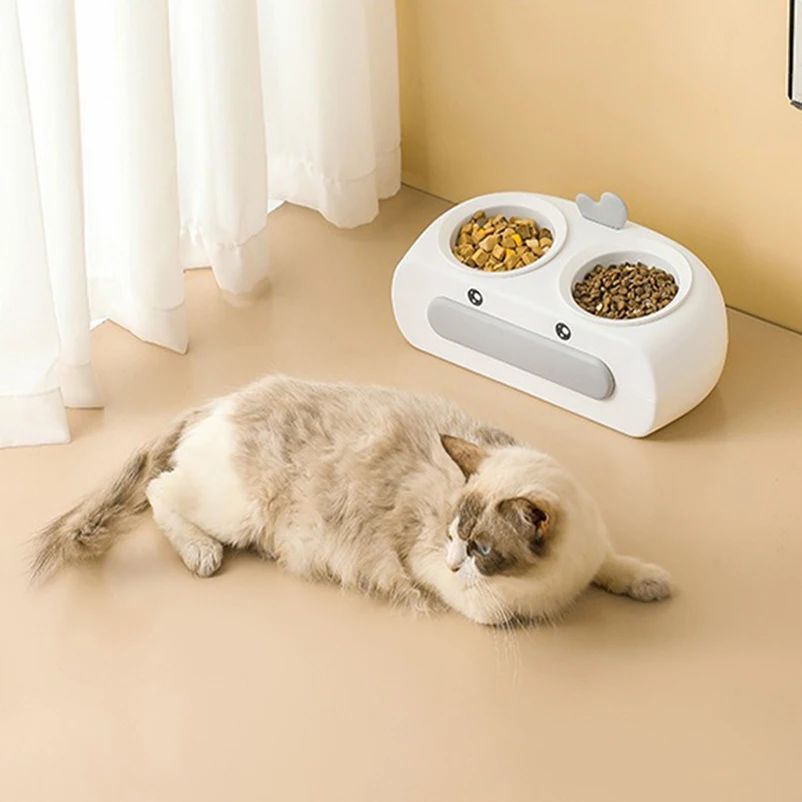 The Perfect Feeding Solution for Your Furry Friends