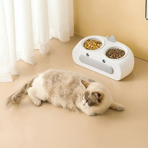 The Perfect Feeding Solution for Your Furry Friends