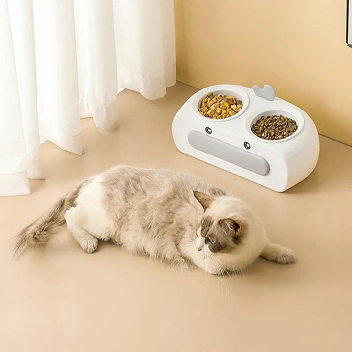 The Perfect Feeding Solution for Your Furry Friends