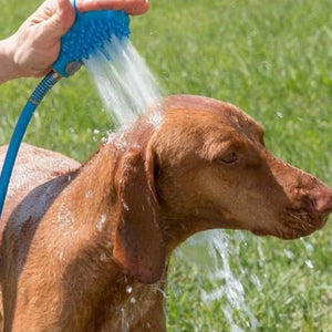 Enhance Your Pet Bathing Experience with Our Pet Bathing Shower