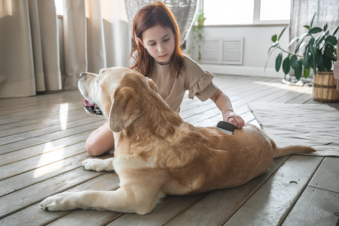 Grooming Tools for a Healthy Coat