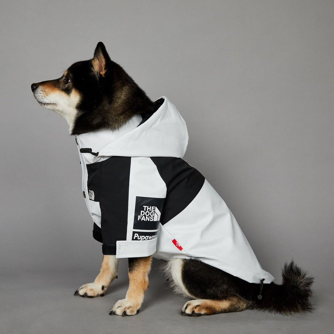 Windproof Pet Shell Jacket