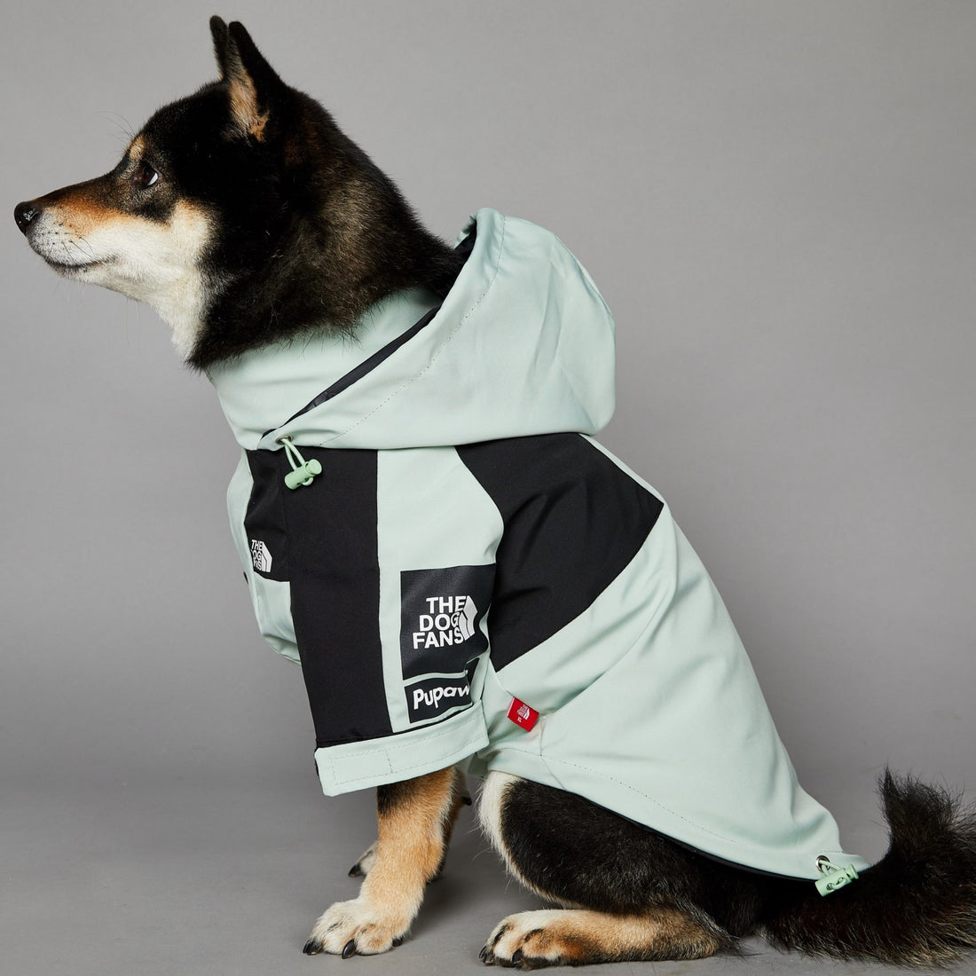 Windproof Pet Shell Jacket