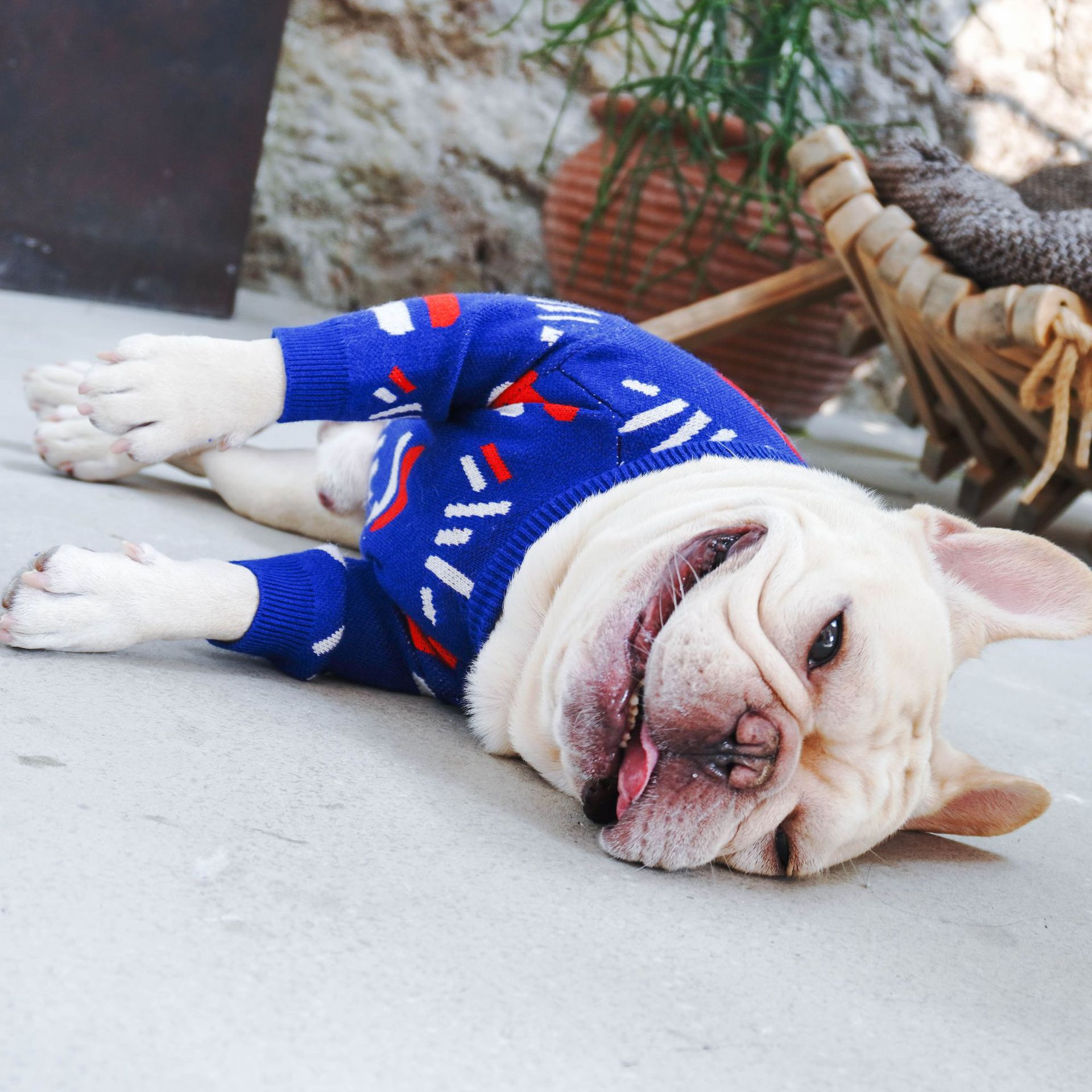 Pug Pet Sweater