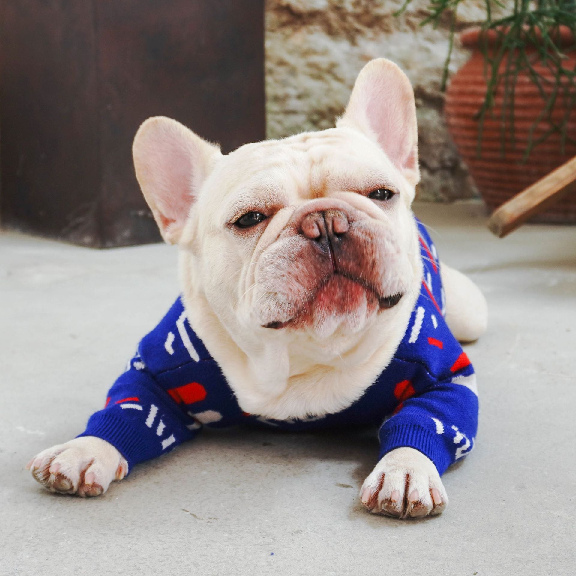 Pug Pet Sweater