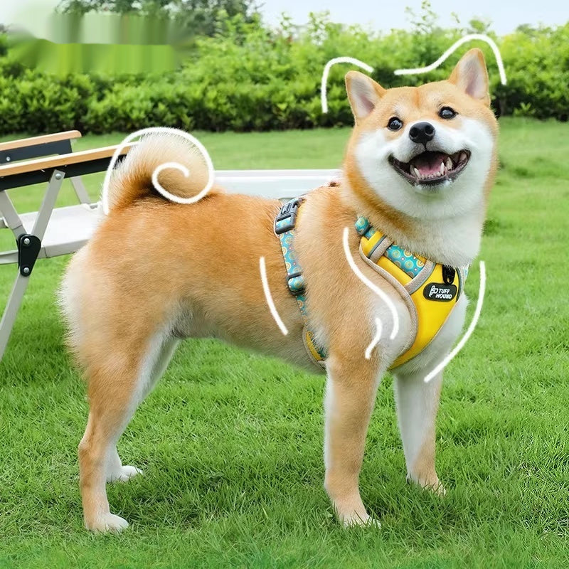 Vest-style Large Walking Leash