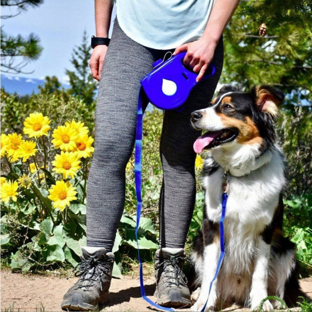 Automatic Retractable Leash Portable