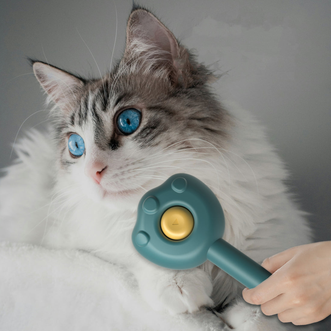 Pet Grooming Comb Cat Brush Hair Remover