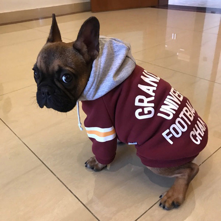 Comfortable Pet Sweater