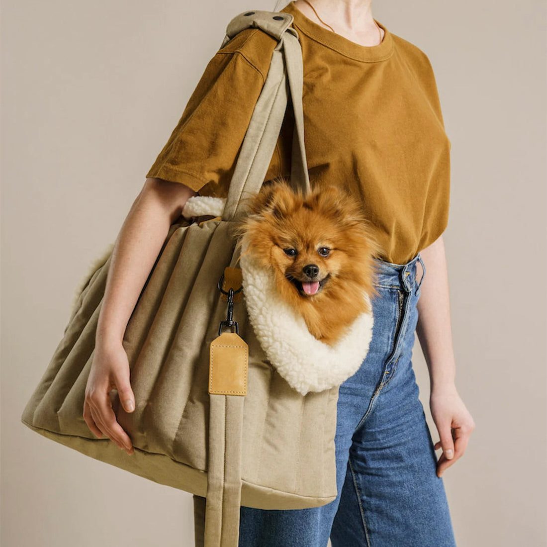 Pet Light Waterproof Portable Carrier Bag