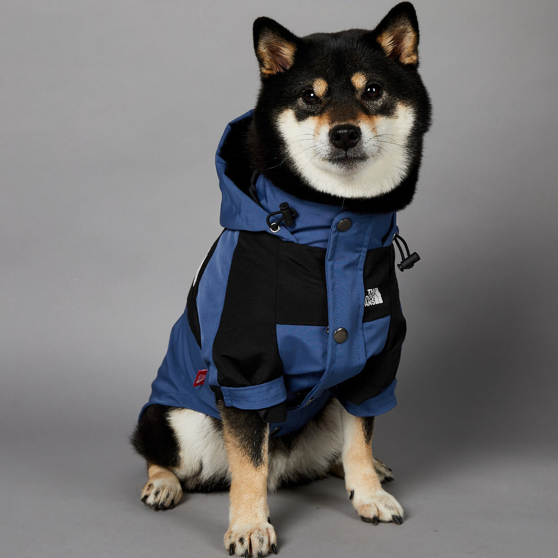 Rainproof Large Dog Raincoat Pet Shell Jacket