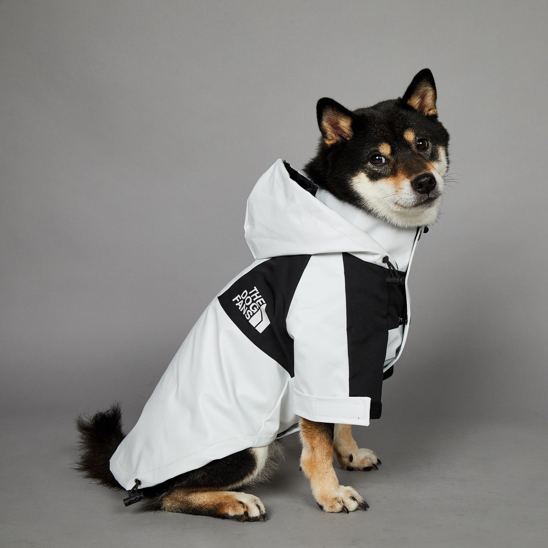 Windproof Pet Shell Jacket