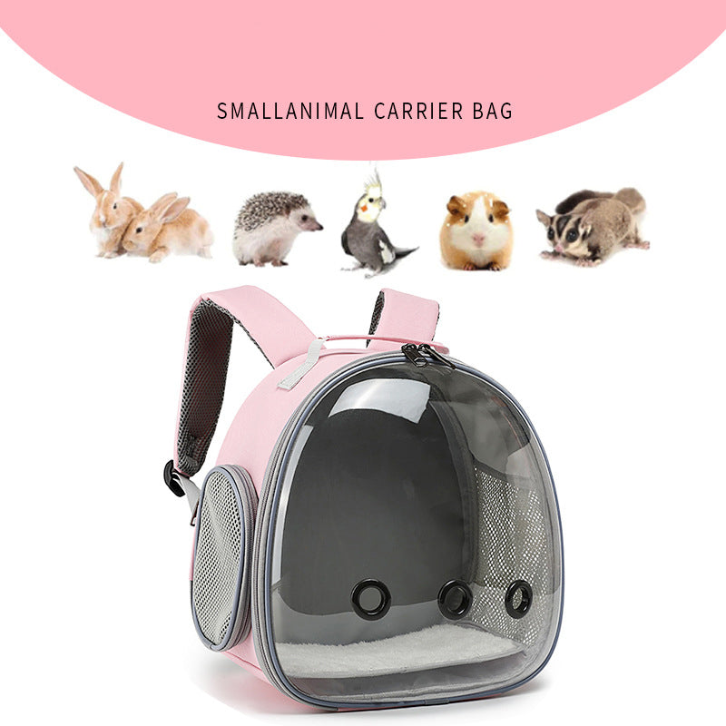 Pet Transparent Carrier Backpack