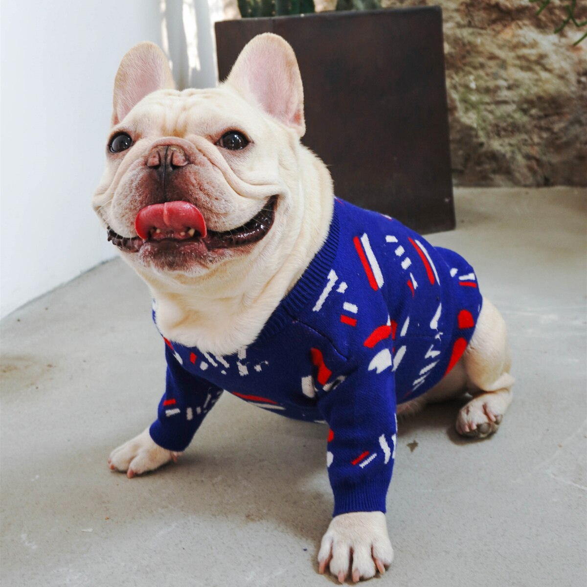 Pug Pet Sweater