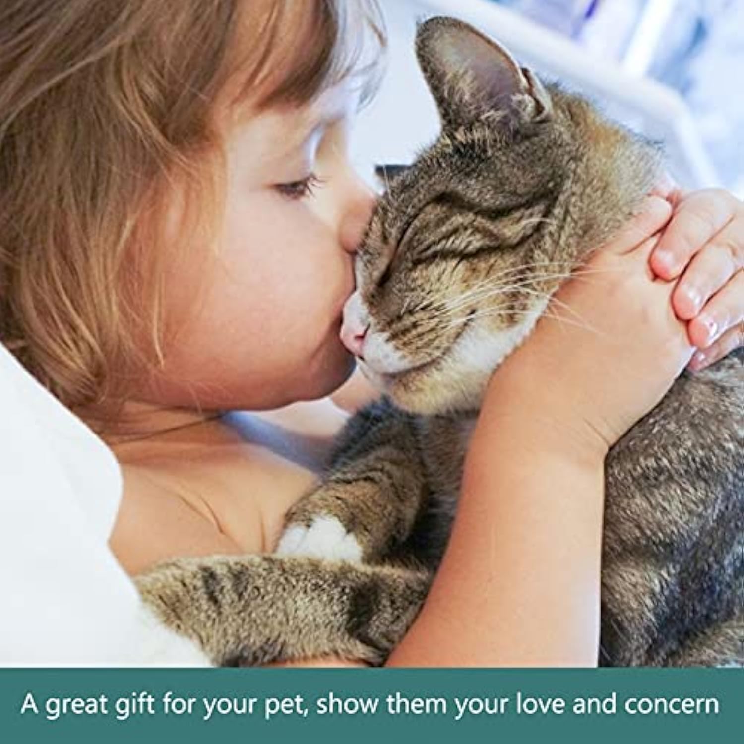 Pet Slow Feeding Bowl