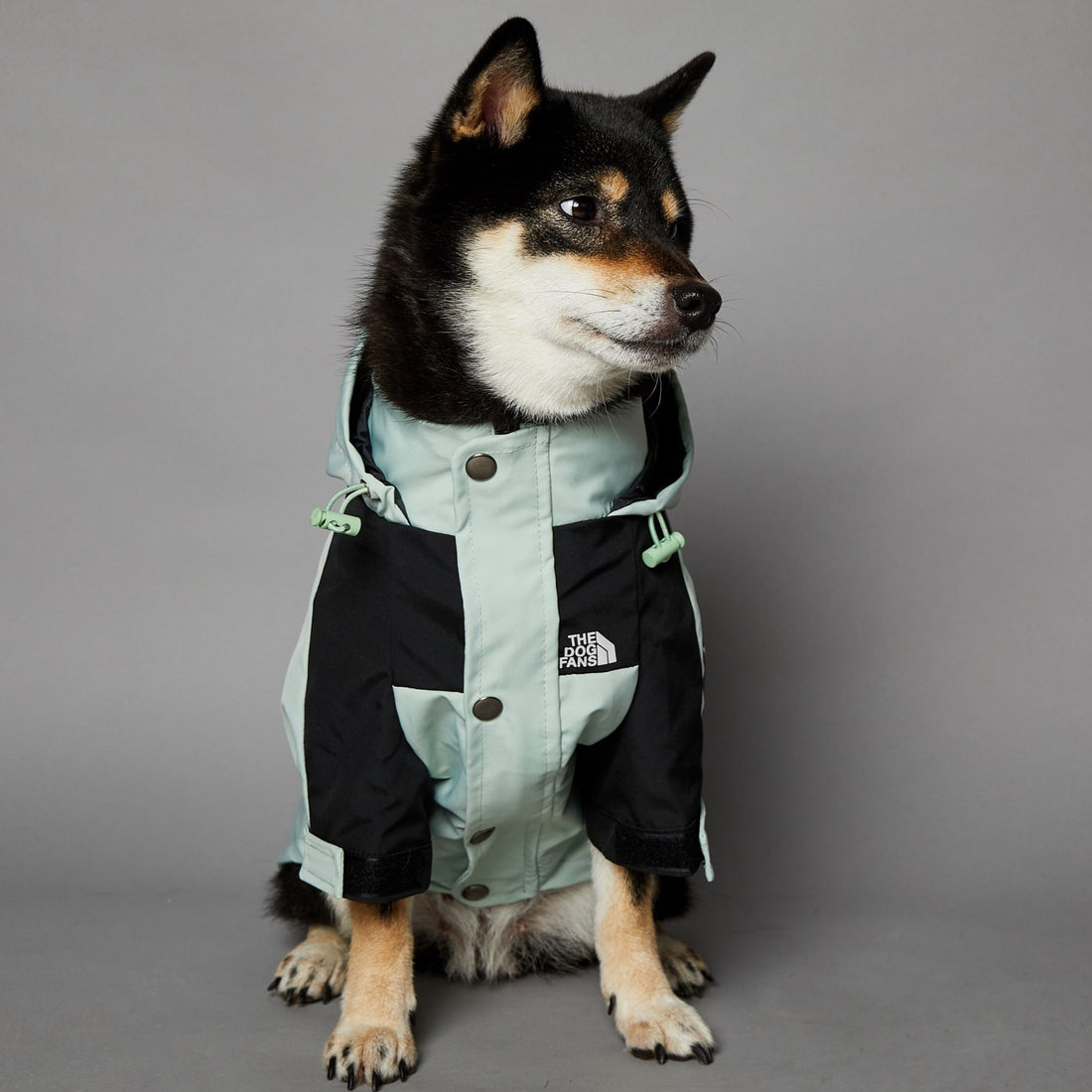 Windproof Pet Shell Jacket