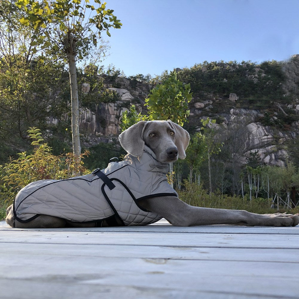 Pet Full-body Reflective Tactical Jacket For Dogs