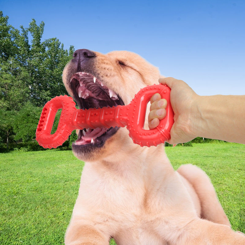 Dog Bones For Aggressive Chewers