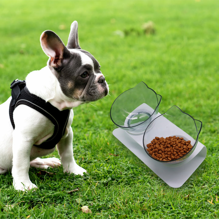 Pet Cervical Support Feeding Food Basin