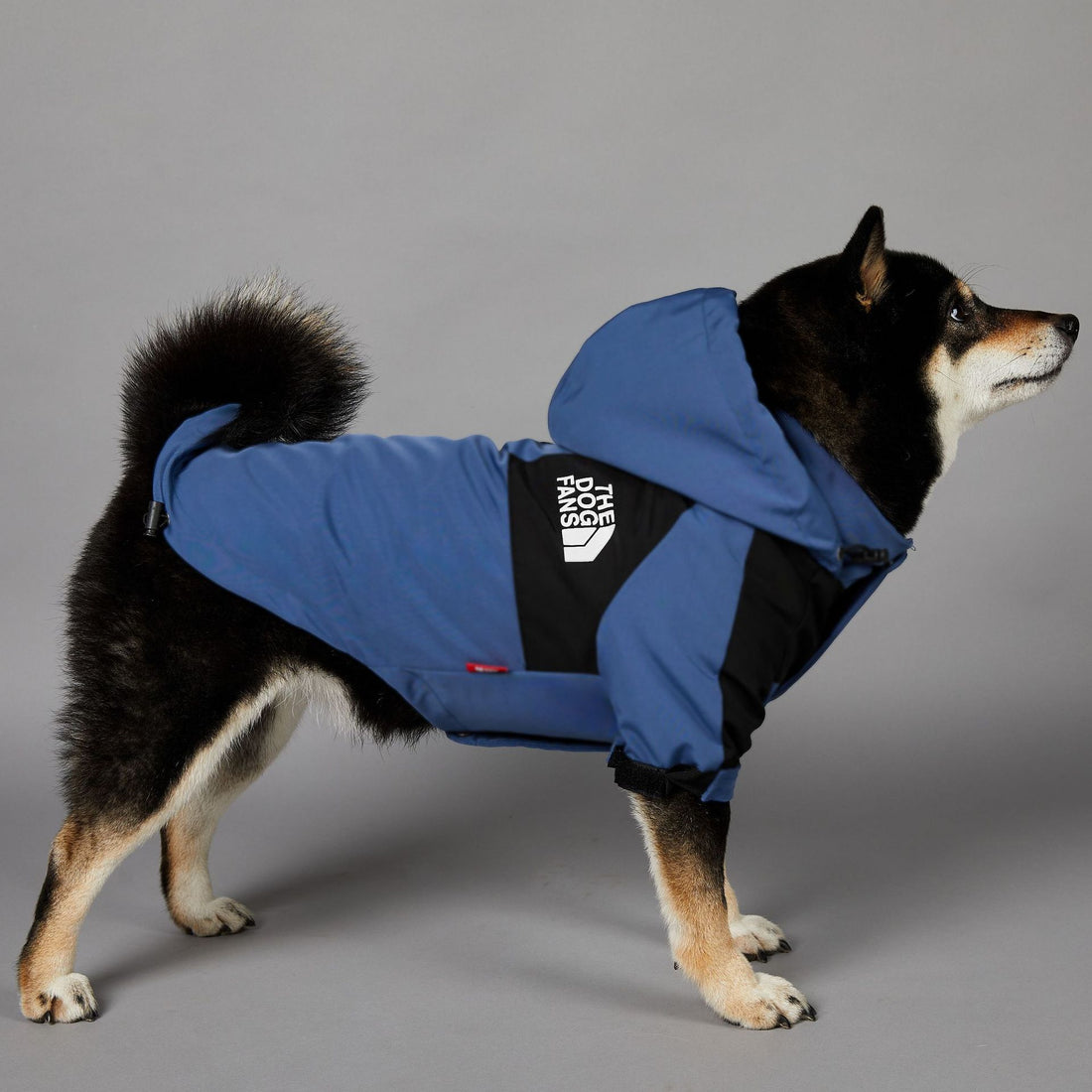 Rainproof Large Dog Raincoat Pet Shell Jacket