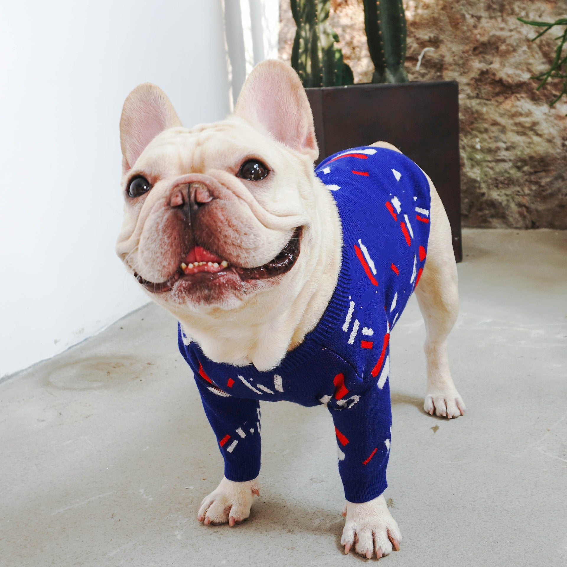 Pug Pet Sweater