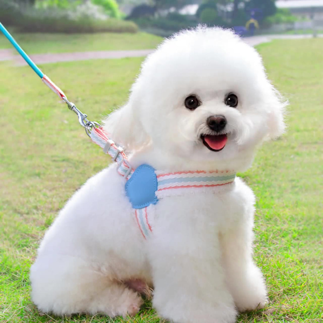 Chest Vest Walking Dog Leash
