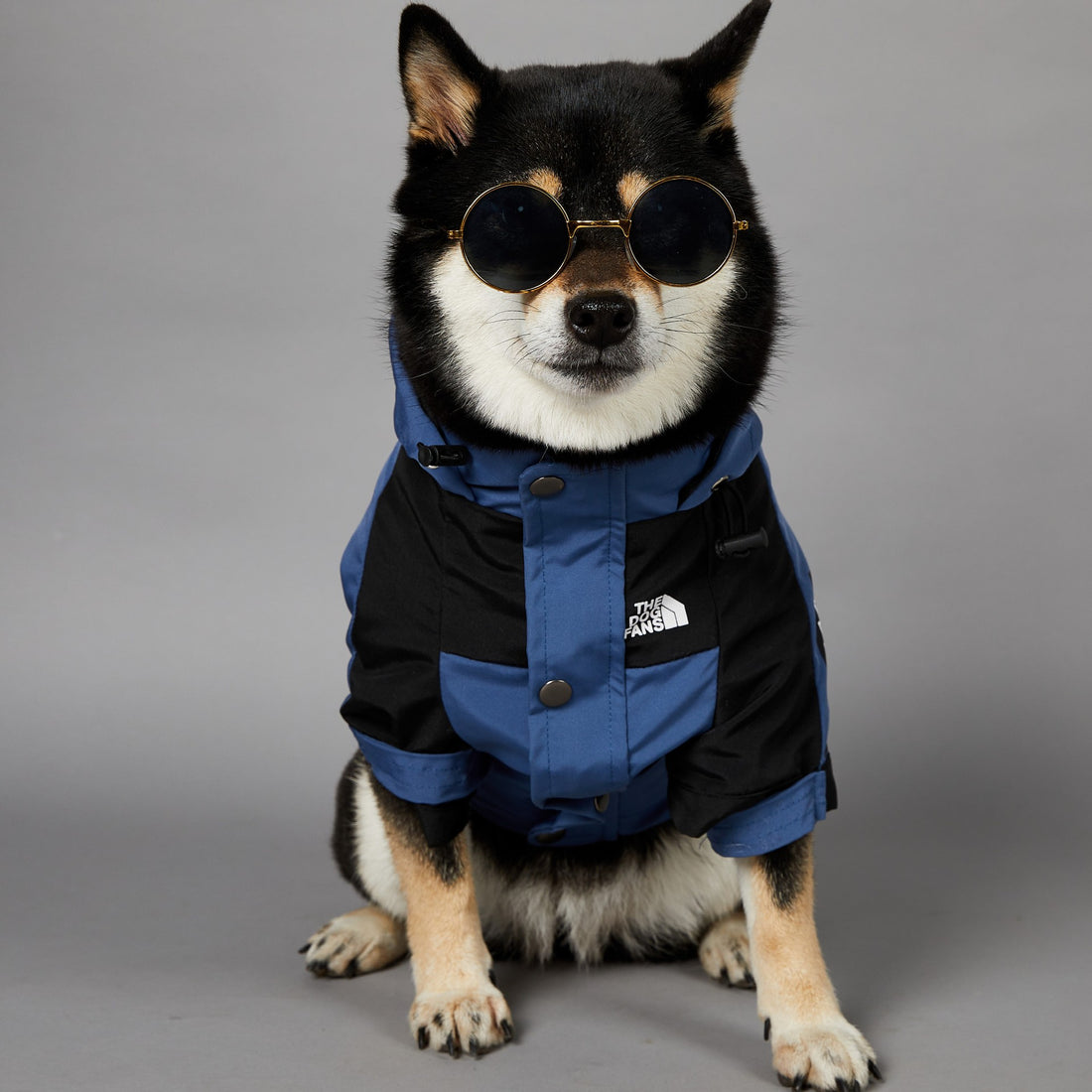 Rainproof Large Dog Raincoat Pet Shell Jacket