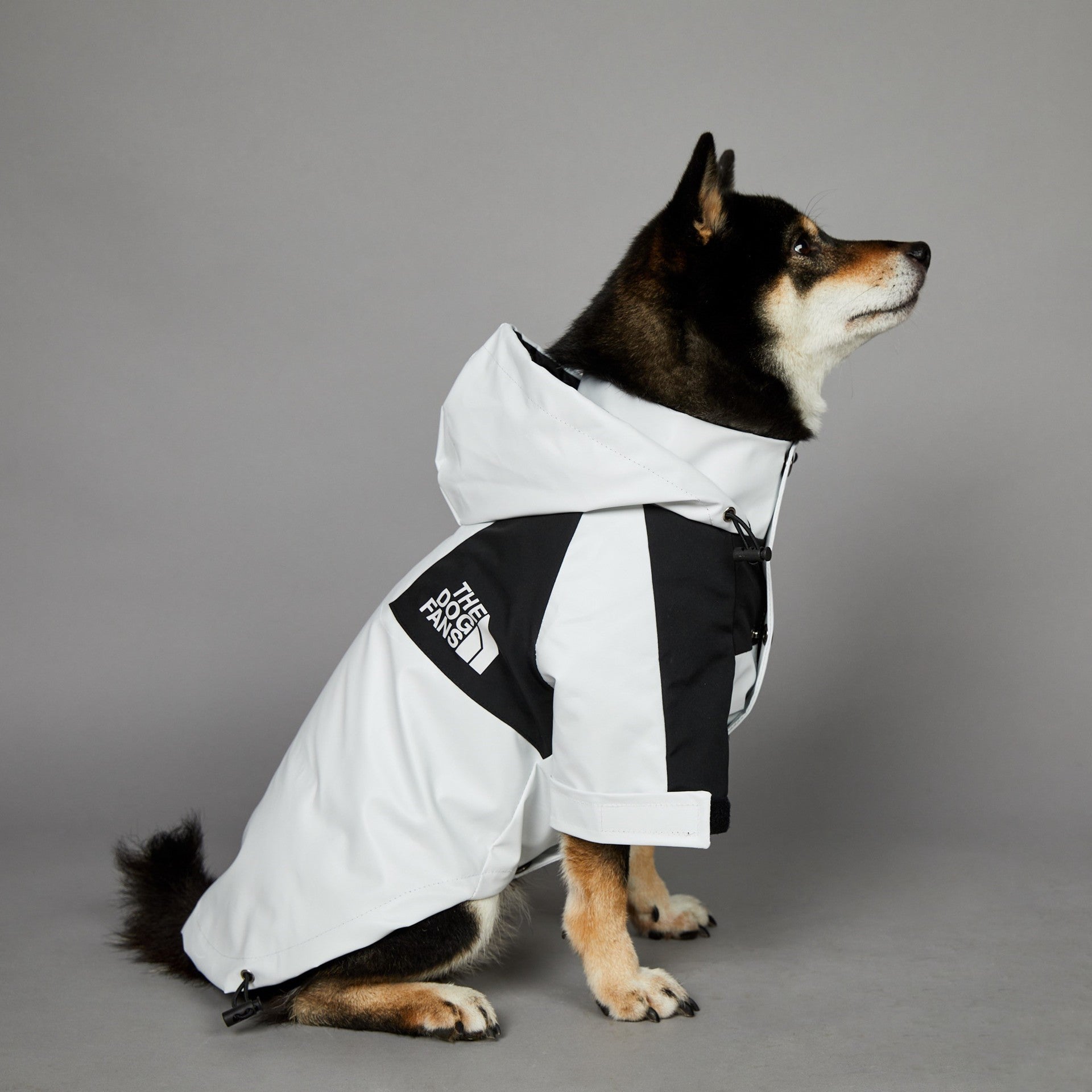 Windproof Pet Shell Jacket