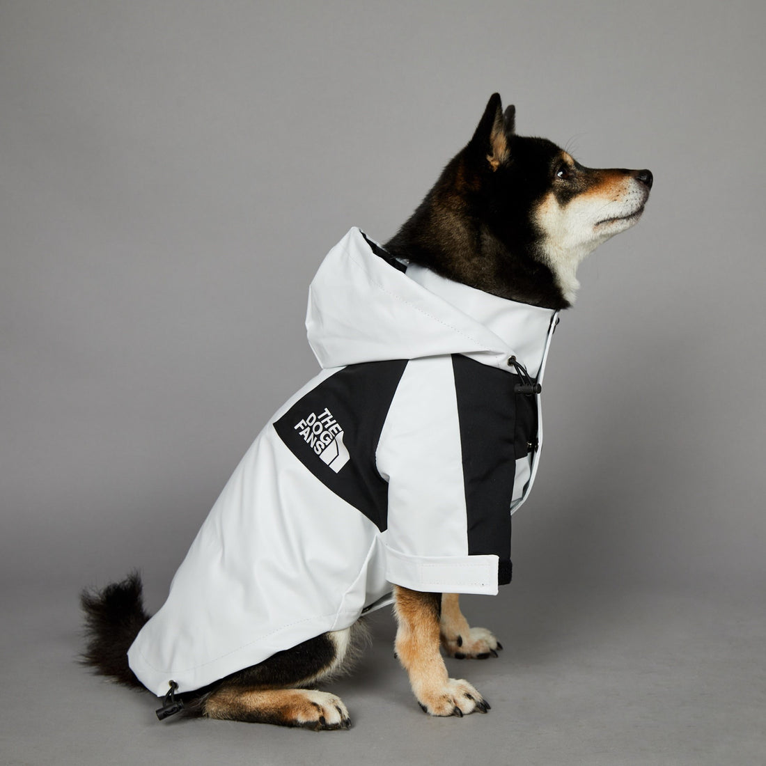 Windproof Pet Shell Jacket