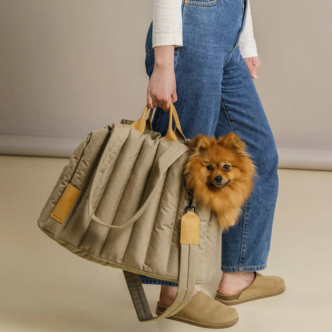 Pet Light Waterproof Portable Carrier Bag