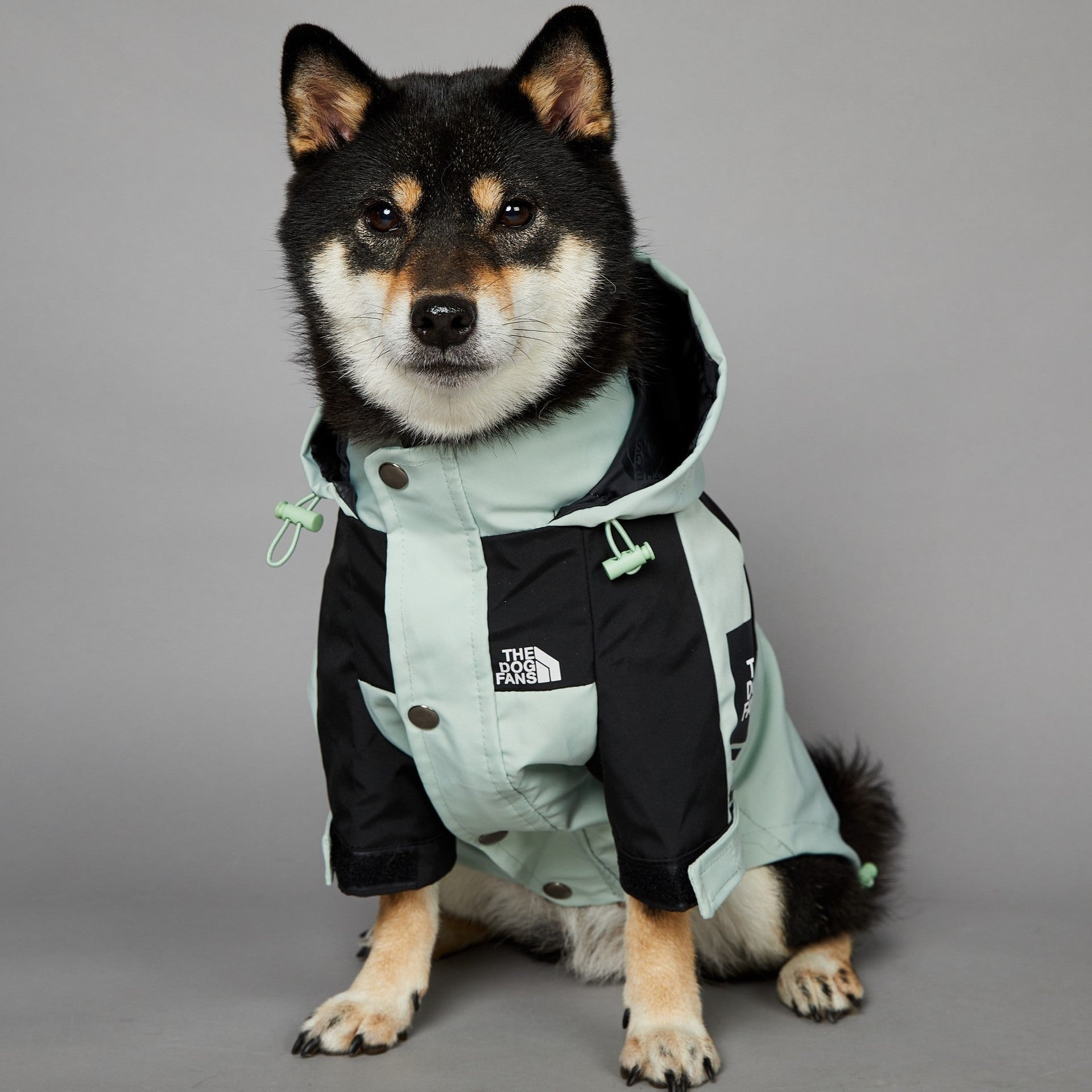 Windproof Pet Shell Jacket