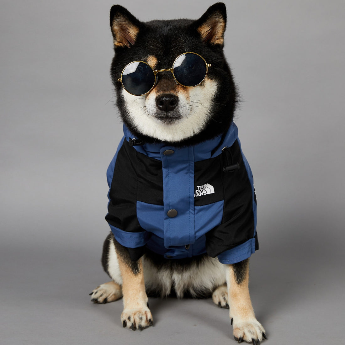 Rainproof Large Dog Raincoat Pet Shell Jacket