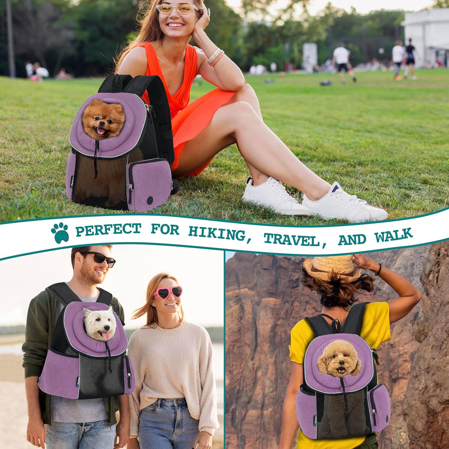 Pet Dog Carrier