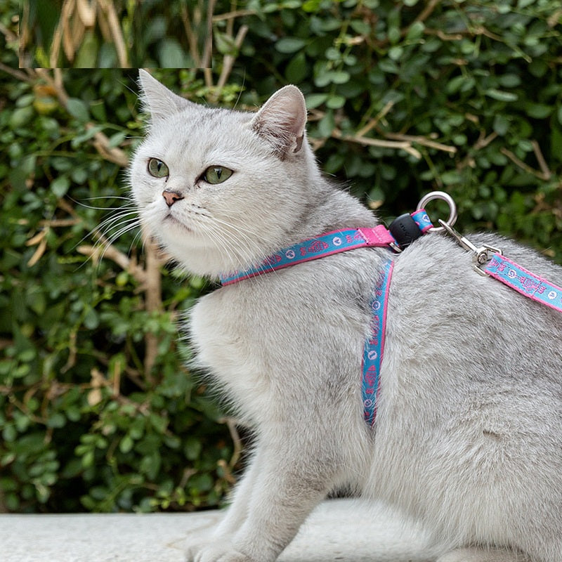 Rope Package Vest Small Dog Teddy Leash