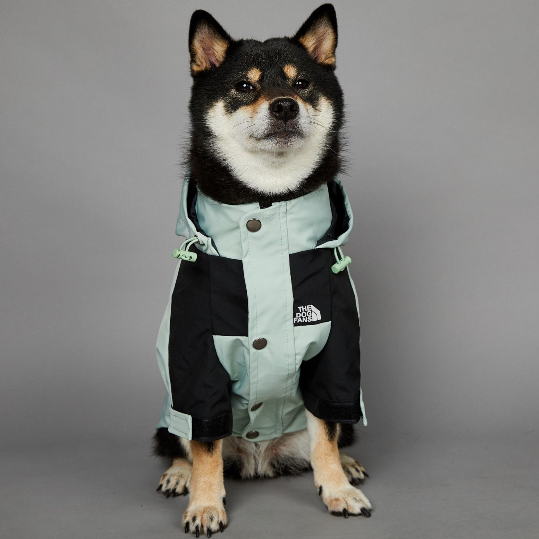 Windproof Pet Shell Jacket