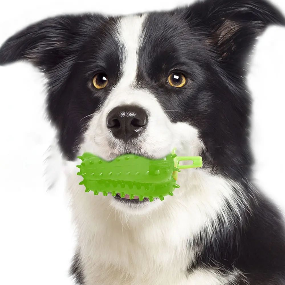 Interactive Dog Teething Chili Chewers Toy