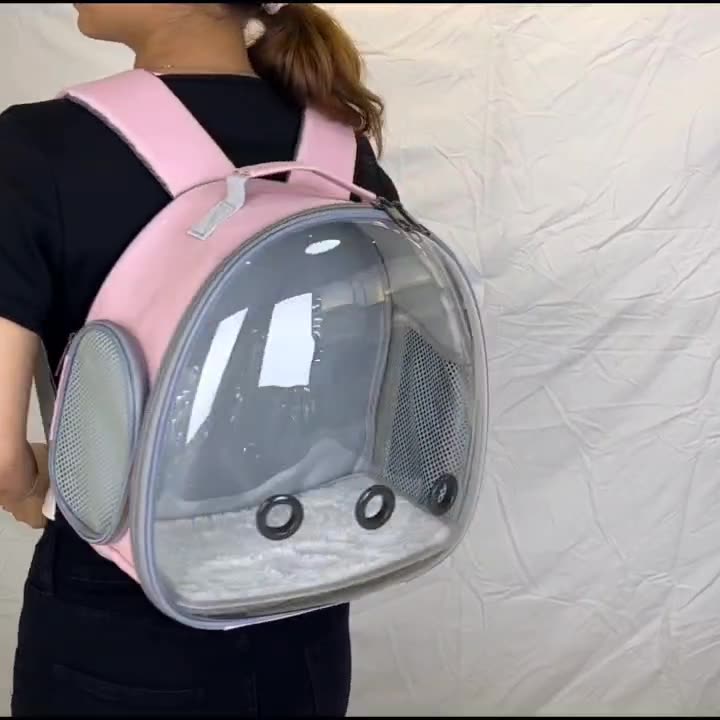 Pet Transparent Carrier Backpack