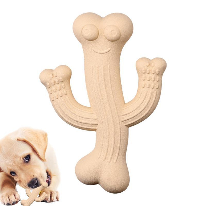 Cactus Puppy Chew Toy