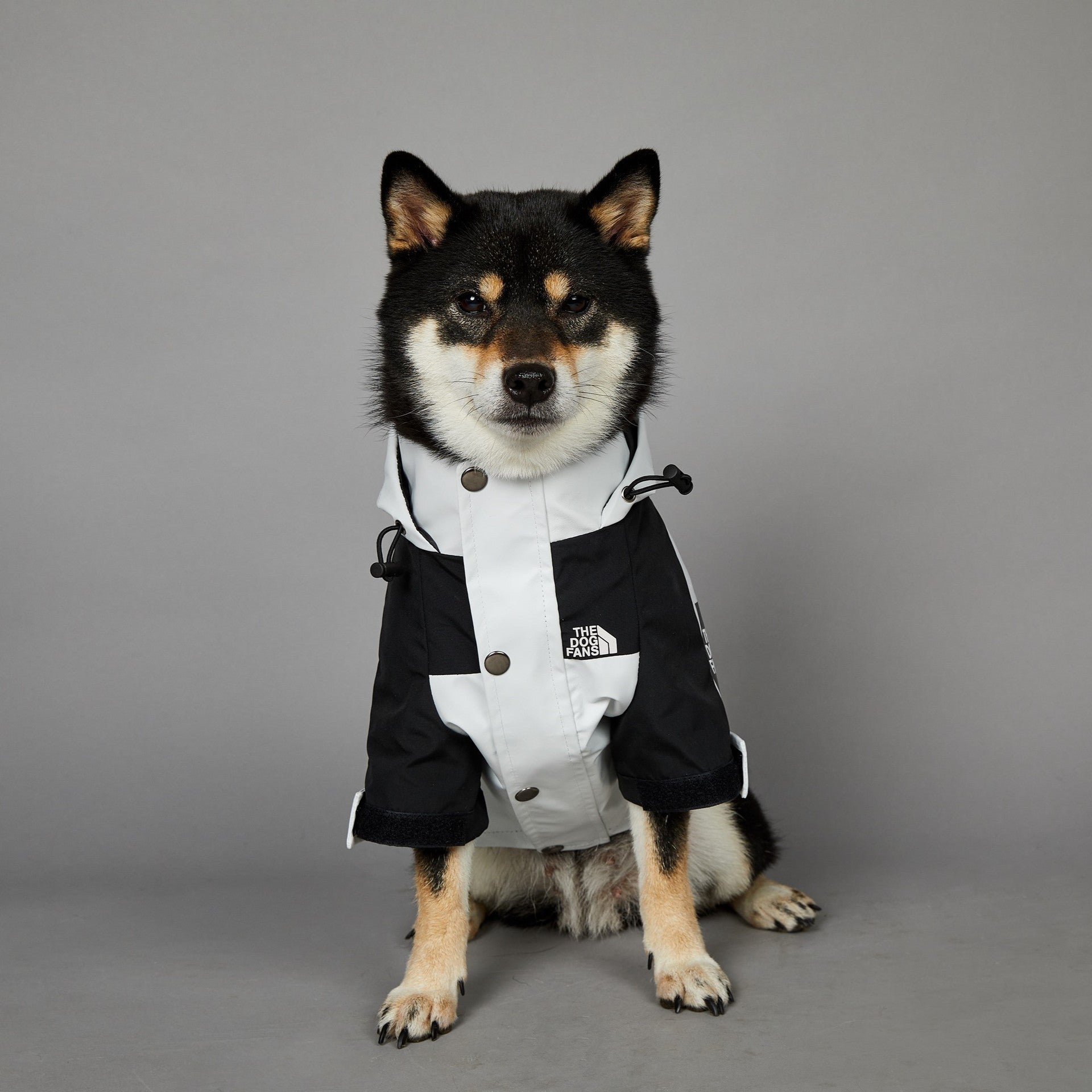 Windproof Pet Shell Jacket