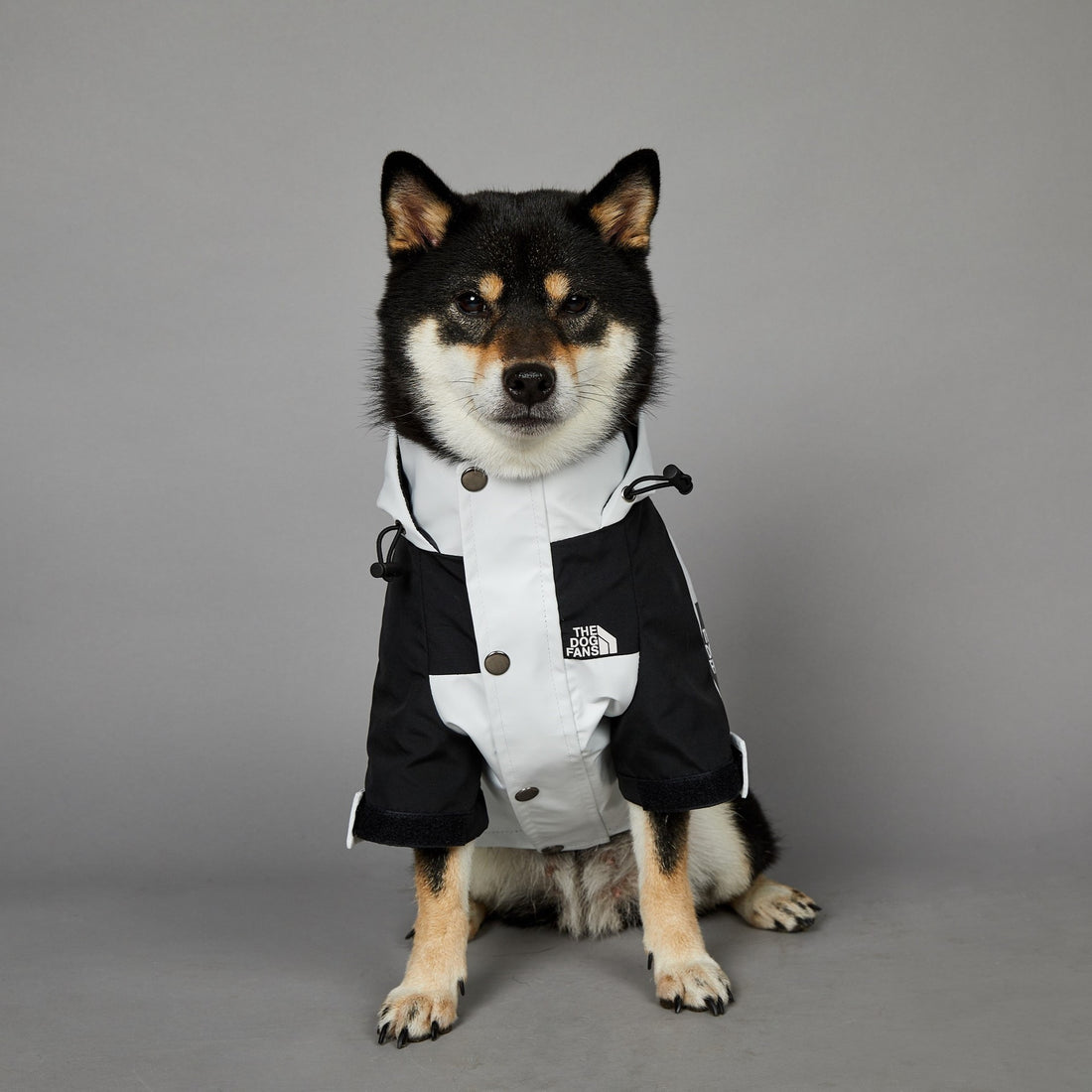 Windproof Pet Shell Jacket