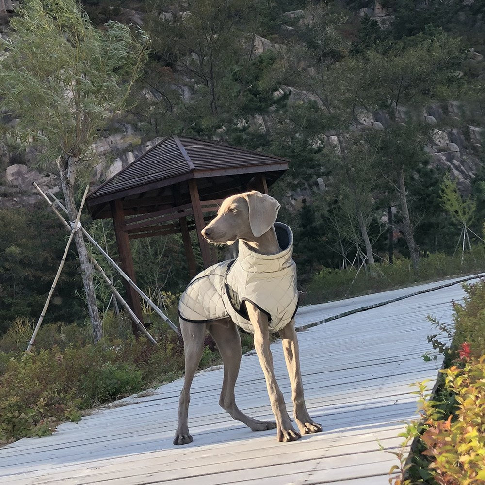 Pet Full-body Reflective Tactical Jacket For Dogs