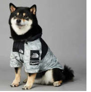 Windproof Pet Shell Jacket