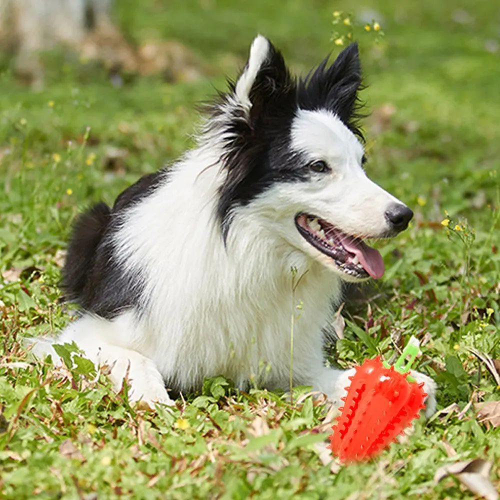 Interactive Dog Teething Chili Chewers Toy