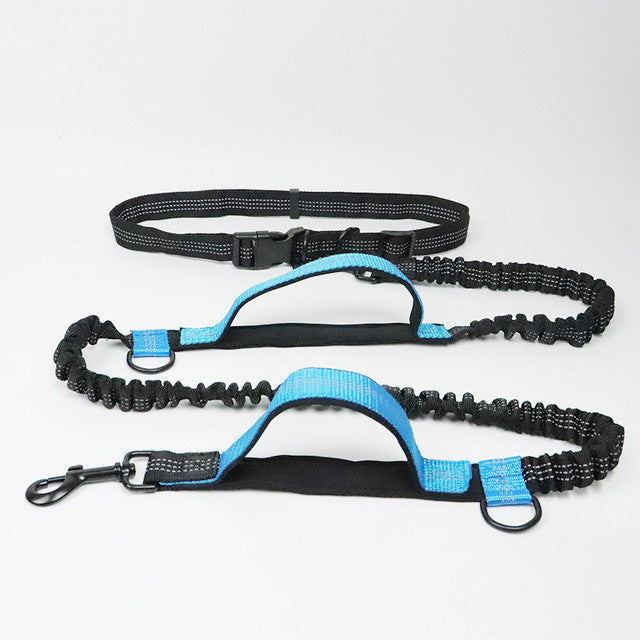 Jogging Adjustable Pet Leash