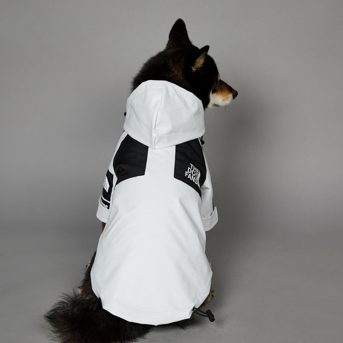 Windproof Pet Shell Jacket
