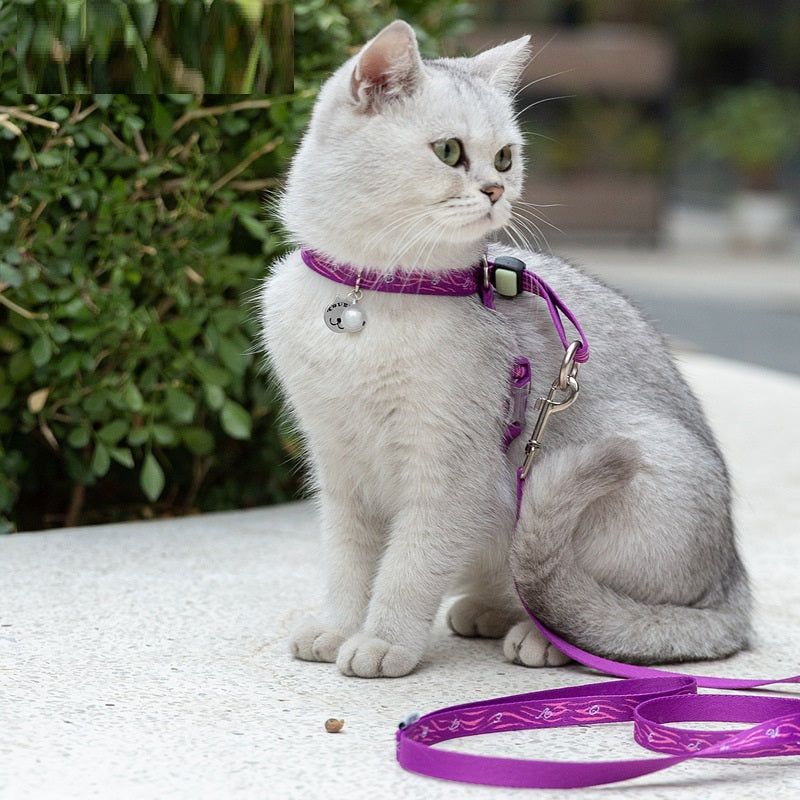 Rope Package Vest Small Dog Teddy Leash
