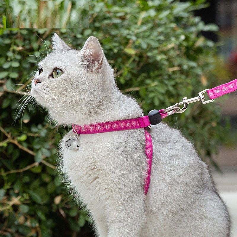 Rope Package Vest Small Dog Teddy Leash